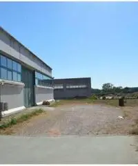 Vendita Capannone in Stradone Spadellata