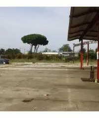 Vendita Capannone in Via dei Frati Vendita Capannone in Via dei Frati