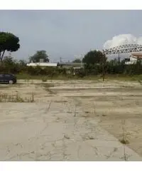 Vendita Capannone in Via dei Frati Vendita Capannone in Via dei Frati