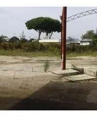 Vendita Capannone in Via dei Frati Vendita Capannone in Via dei Frati