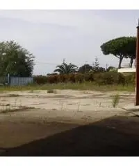 Vendita Capannone in Via dei Frati Vendita Capannone in Via dei Frati