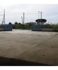 Vendita Capannone in Via dei Frati Vendita Capannone in Via dei Frati