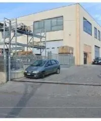 Vendita Capannone in Via della Muracciola, snc Vendita Capannone in Via della Muracciola, snc