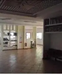 Vendita Capannone in Via della Muracciola, snc Vendita Capannone in Via della Muracciola, snc