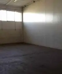 Peraga: Affitto Capannone da 800mq