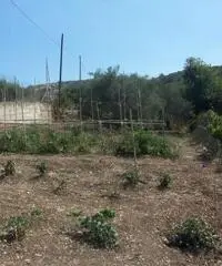 Capannone 300 mq. con terreno cod 021