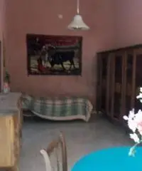 Capannone 300 mq. con terreno cod 021