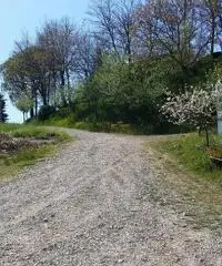 Agricolo in vendita a Parma Agricolo in vendita a Parma