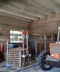 Agricolo in vendita a Parma Agricolo in vendita a Parma