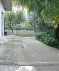 Affitto Magazzino da 150mq Affitto Magazzino da 150mq