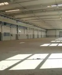 Vendita Capannone da 30000mq con ascensore Vendita Capannone da 30000mq con ascensore