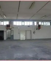 Capannone artigianale in vendita a Cascina 300 mq  Rif: 265608 Capannone artigianale in vendita a Cascina 300 mq  Rif: 265608