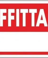Capannone commerciale in affitto a OSPEDALETTO - Pisa 300 mq  Rif: 397574