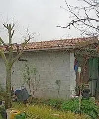 Magazzino in vendita a Vecchiano 30 mq  Rif: 221208 Magazzino in vendita a Vecchiano 30 mq  Rif: 221208