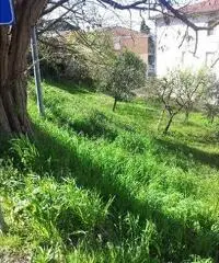 Magazzino in vendita a Peccioli 47 mq  Rif: 392707 Magazzino in vendita a Peccioli 47 mq  Rif: 392707