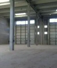 Rifcapannone nv - Magazzino in Affitto a Pisa - Pta a Mare di 1700 mq