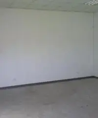 Rifcapannone nv - Magazzino in Affitto a Pisa - Pta a Mare di 1700 mq