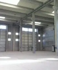 Rifcapannone nv - Magazzino in Affitto a Pisa - Pta a Mare di 1700 mq