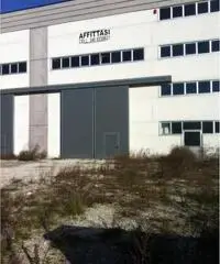 Rifcapannone nv - Magazzino in Affitto a Pisa - Pta a Mare di 1700 mq