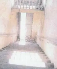 Vendita laboratorio mq. 345 - Zona Roiatta Vendita laboratorio mq. 345 - Zona Roiatta