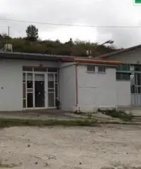 Centro città: Vendita Capannone in Contrada Caira