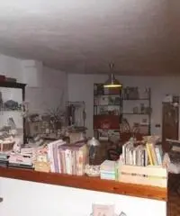 Rif: 818 - PRATICELLO DI GATTATICO, vendesi capannone di circa 700 mq. piu' vano ufficio e servizio Rif: 818 - PRATICELLO DI GATTATICO, vendesi capannone di circa 700 mq. piu' vano ufficio e servizio