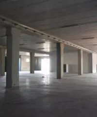 Affitto Capannone da 1500mq Affitto Capannone da 1500mq