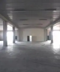 Affitto Capannone da 1500mq Affitto Capannone da 1500mq