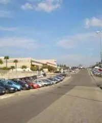 Vendita Capannone in via degli Olmetti Vendita Capannone in via degli Olmetti