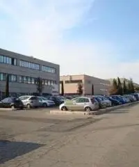 Vendita Capannone in via degli Olmetti Vendita Capannone in via degli Olmetti