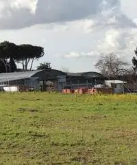 Vendita Capannone in Via Colle di Fuori Vendita Capannone in Via Colle di Fuori