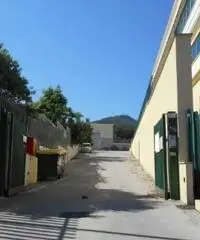 Vendita Capannone in via della produzione  15 Vendita Capannone in via della produzione  15