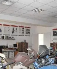 Vendita Capannone in via Maurizio Iaconelli, 34 Vendita Capannone in via Maurizio Iaconelli, 34