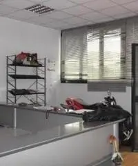 Vendita Capannone in via Maurizio Iaconelli, 34 Vendita Capannone in via Maurizio Iaconelli, 34