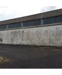 Vendita Capannone in Via Trinitad, 10 Vendita Capannone in Via Trinitad, 10