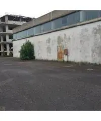 Vendita Capannone in Via Trinitad, 10 Vendita Capannone in Via Trinitad, 10