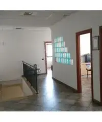 Vendita Capannone in Via Casilina km 48 Vendita Capannone in Via Casilina km 48