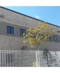 Vendita Capannone in Via Casilina km 48 Vendita Capannone in Via Casilina km 48