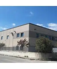 Vendita Capannone in Via Casilina km 48 Vendita Capannone in Via Casilina km 48