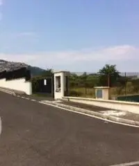 Vendita Capannone in Via di Colonna