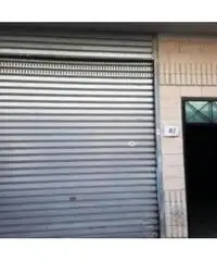 Vendita Capannone in via degli Olmetti Vendita Capannone in via degli Olmetti