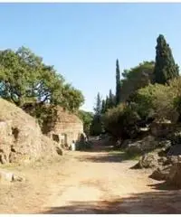 Vendita Magazzino in Via Agillina