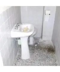 Vendita Magazzino in Via Ranucci