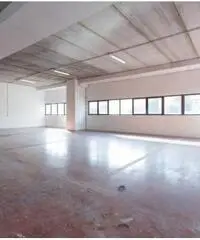 Vendita Magazzino in Via degli Olmetti Vendita Magazzino in Via degli Olmetti
