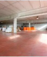 Vendita Magazzino in Via degli Olmetti Vendita Magazzino in Via degli Olmetti