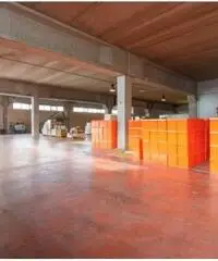 Vendita Magazzino in Via degli Olmetti Vendita Magazzino in Via degli Olmetti