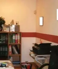 Rif: 0023782366/15ESLUrigolfoTOLZ - Capannone in Vendita a Trofarello