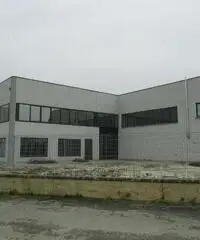 Rif: Capuano - capannone di 800 mq circa a Cambiano Rif: Capuano - capannone di 800 mq circa a Cambiano