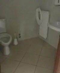 Rif: Capuano - capannone di 800 mq circa a Cambiano Rif: Capuano - capannone di 800 mq circa a Cambiano