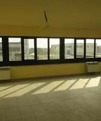 Rif: Capuano - capannone di 800 mq circa a Cambiano Rif: Capuano - capannone di 800 mq circa a Cambiano